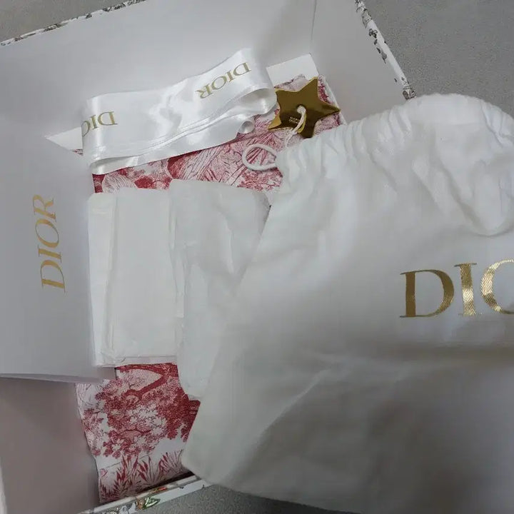 [BUNJANG] Dior Saddle Mini Bag / 디올 새들 숄더 미니백