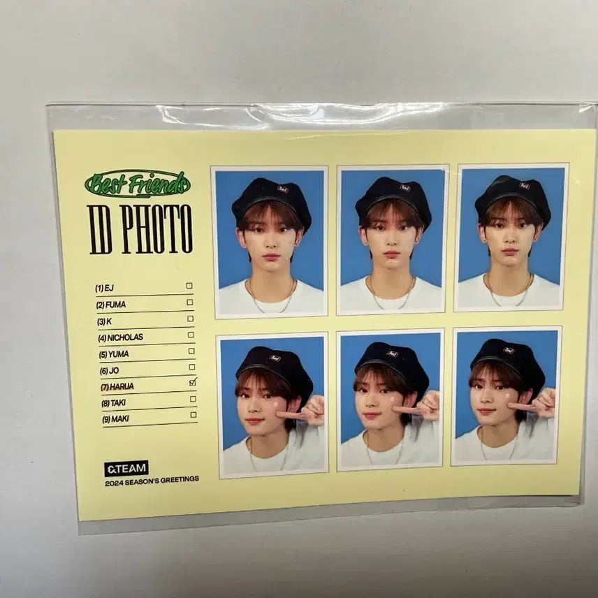 하루아 증사 2024 시그 앤팀