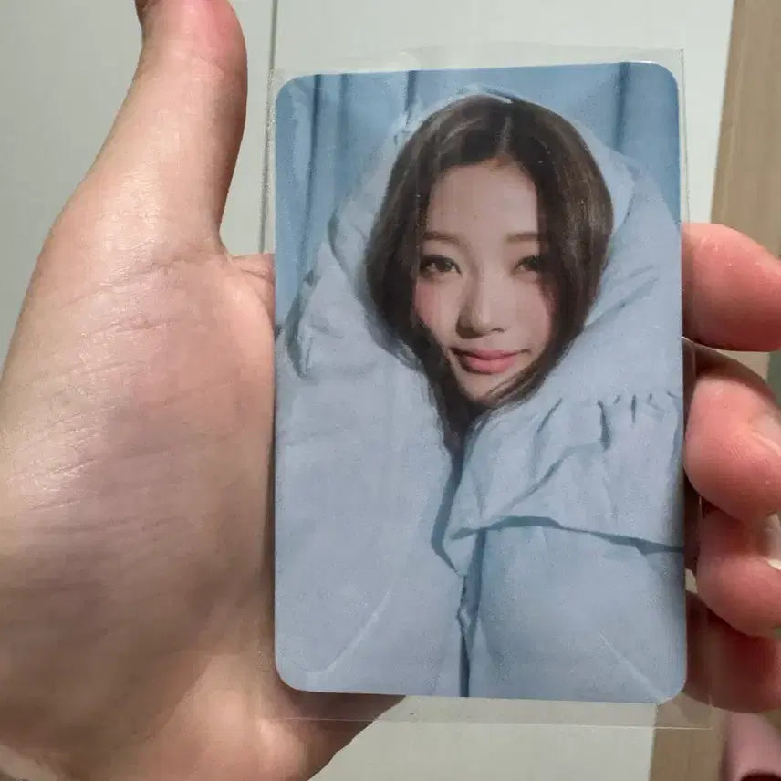 하츠투하츠 시그 케타포 스텔라