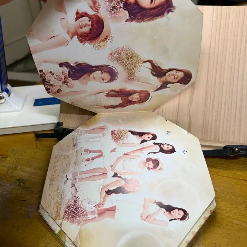 CD 걸그룹 틴트 싸인앨범,싱글2집,늑대들은 몰라요,2014년