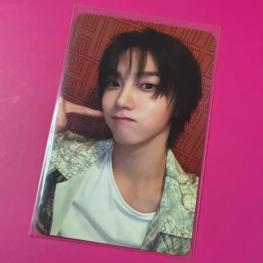 성호 why 뭣같아 공방 포카 보이넥스트도어