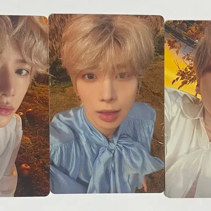 투모로우바이투게더 포토카드 3장 세트