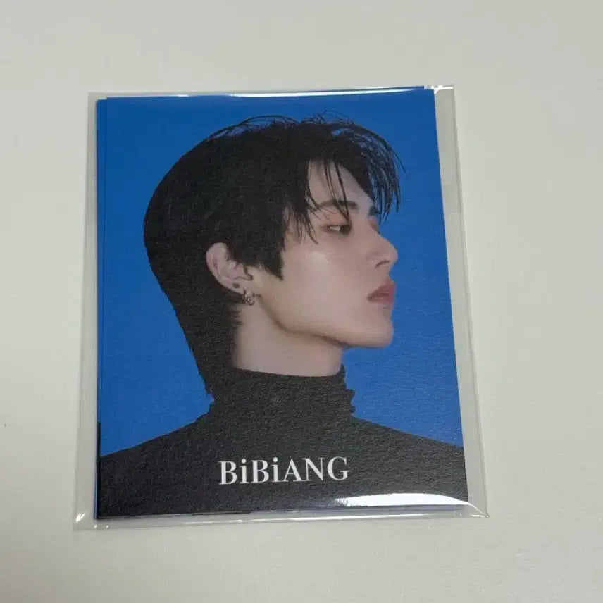 보이넥스트도어 비비앙 포토카드 일괄 (반택포)