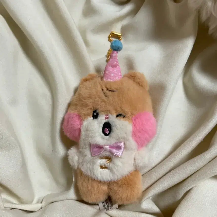 제로베이스원 홈파티 미니 비니니