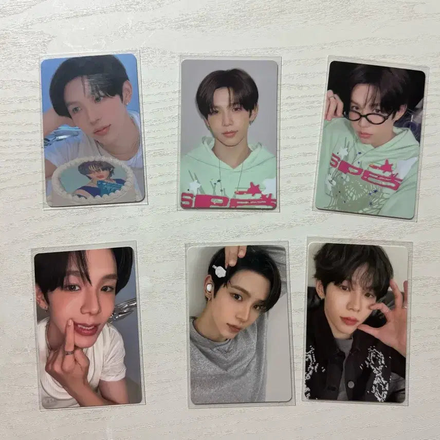 라이즈 쇼타로 시그 포카 + 케타포 특전