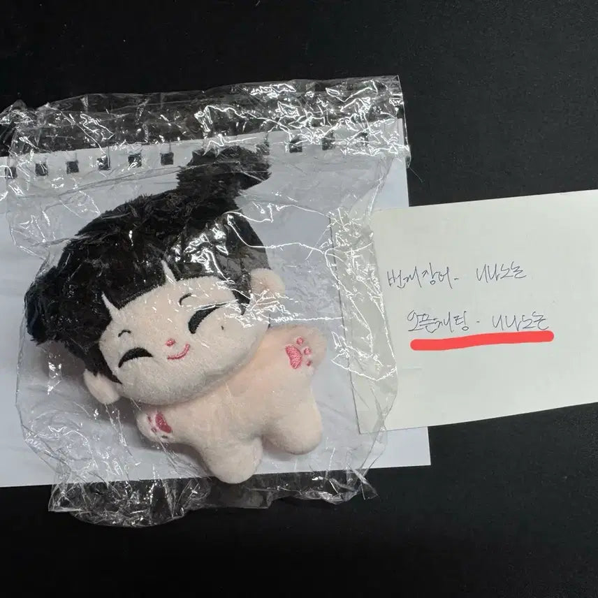 앤하이픈 선우 중국 솜인형 양도합니다!