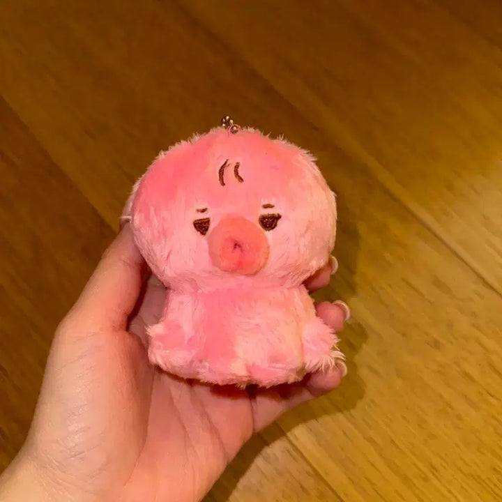 더보이즈 선우 인형 떤코