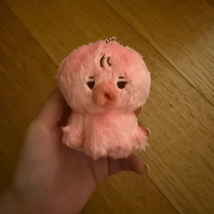 더보이즈 선우 인형 떤코