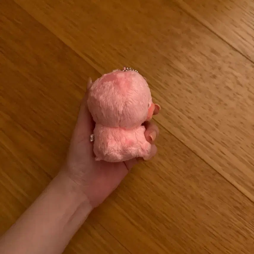 더보이즈 선우 인형 떤코