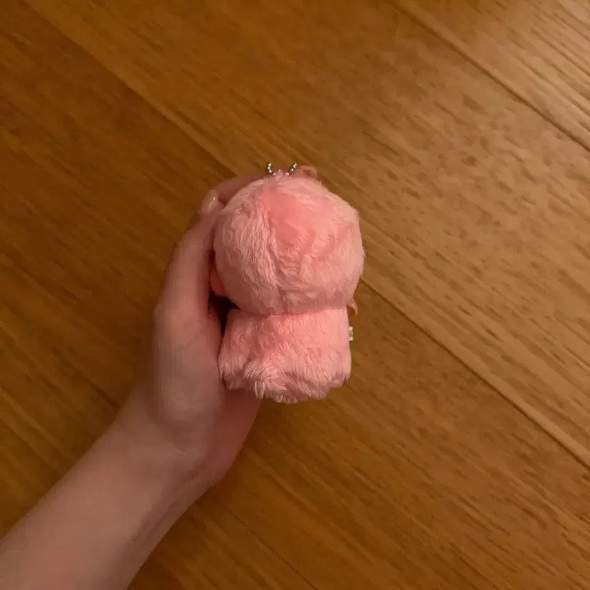 더보이즈 선우 인형 떤코