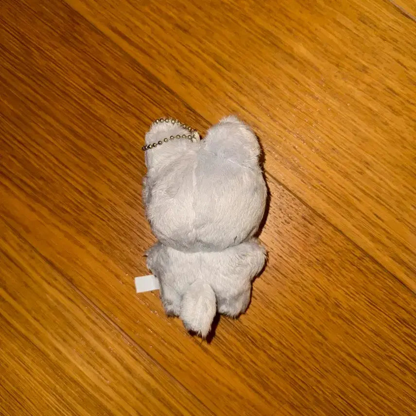 더보이즈 주연 인형 주냥이