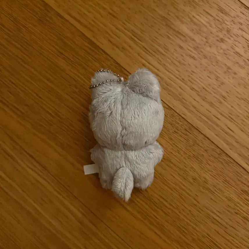 더보이즈 주연 인형 주냥이