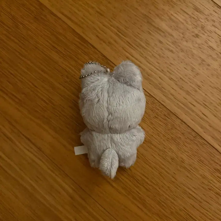 더보이즈 주연 인형 주냥이