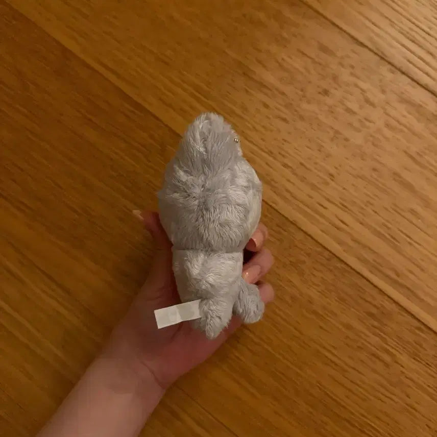 더보이즈 주연 인형 주냥이