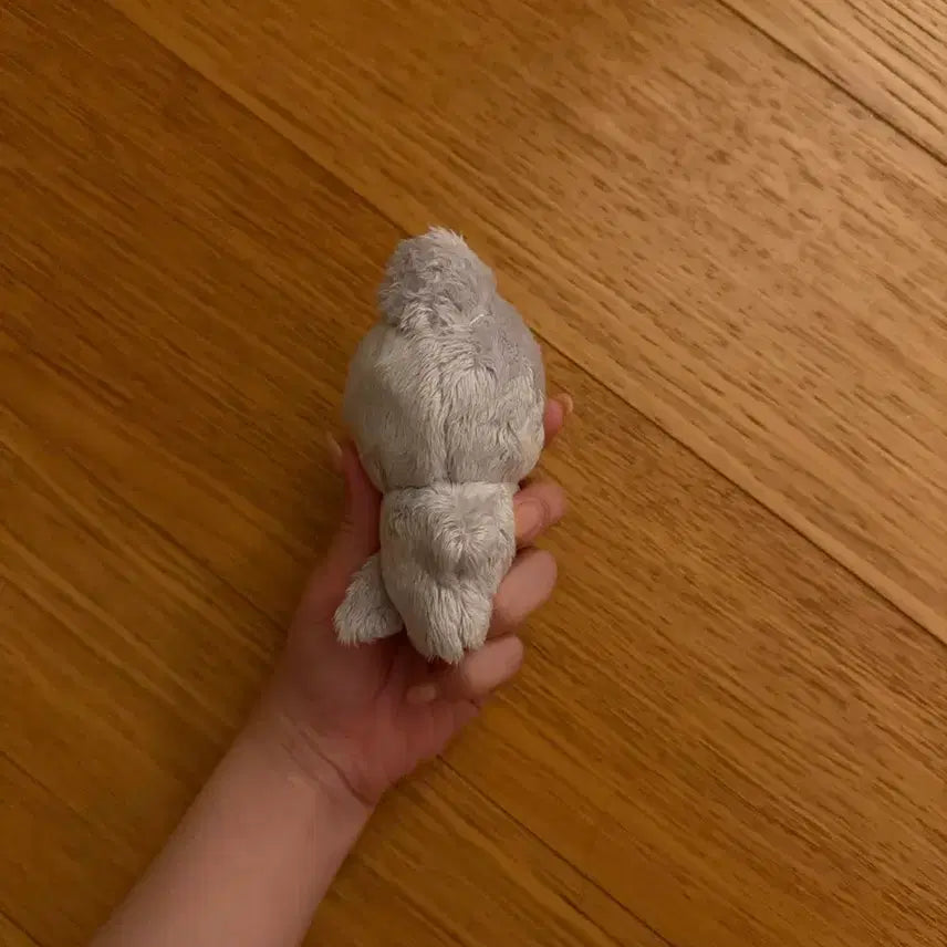 더보이즈 주연 인형 주냥이