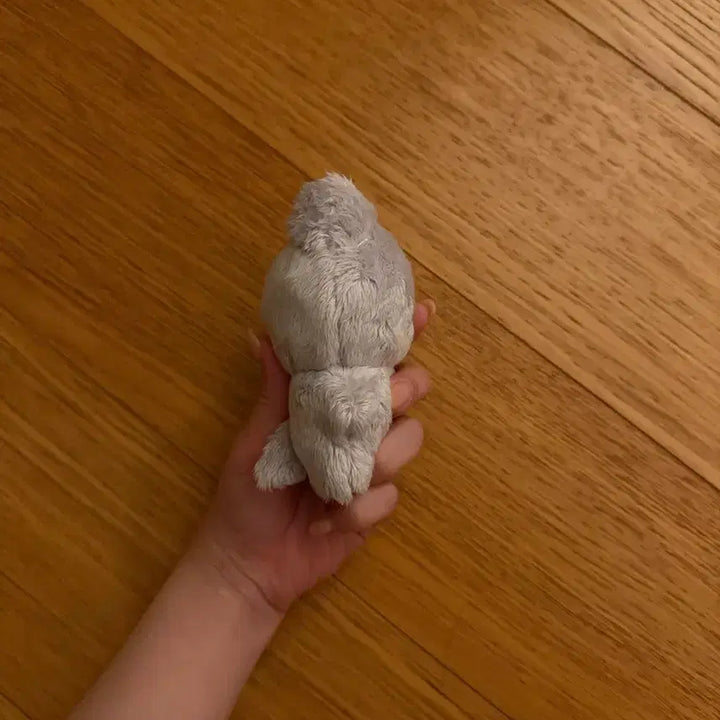 더보이즈 주연 인형 주냥이