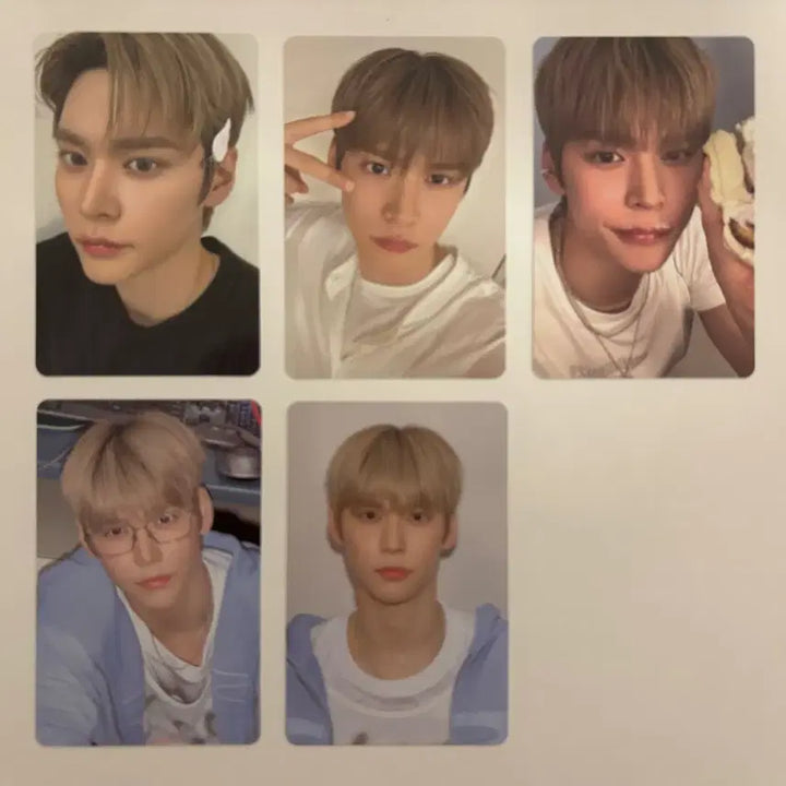 2026 라이즈 시즌그리팅 시그 은석 일괄 (폴라 포함)