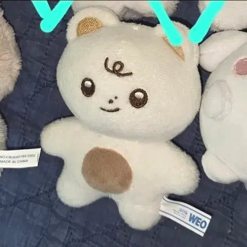 더보이즈 영훈 현재 인형