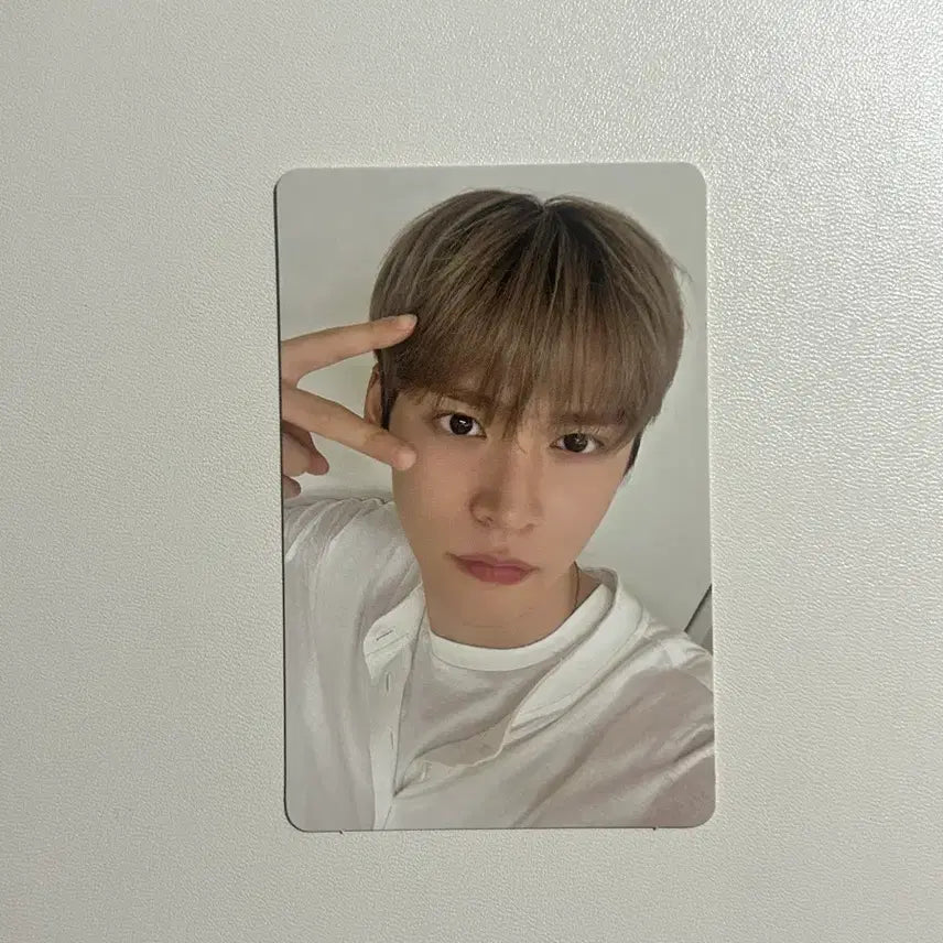 라이즈 시그 은석 포카