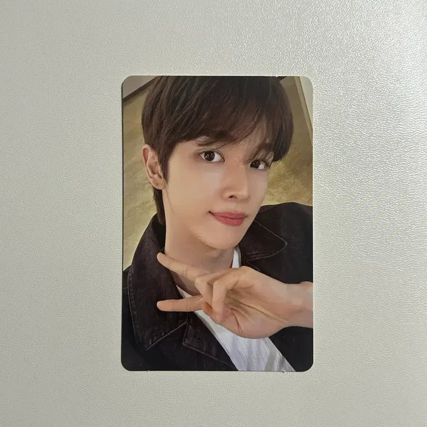 라이즈 2026 시그 성찬 포카