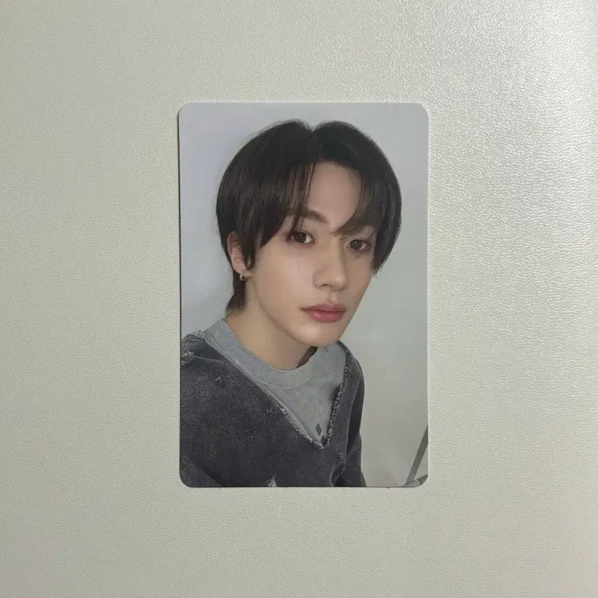 라이즈 시그 앤톤 포카