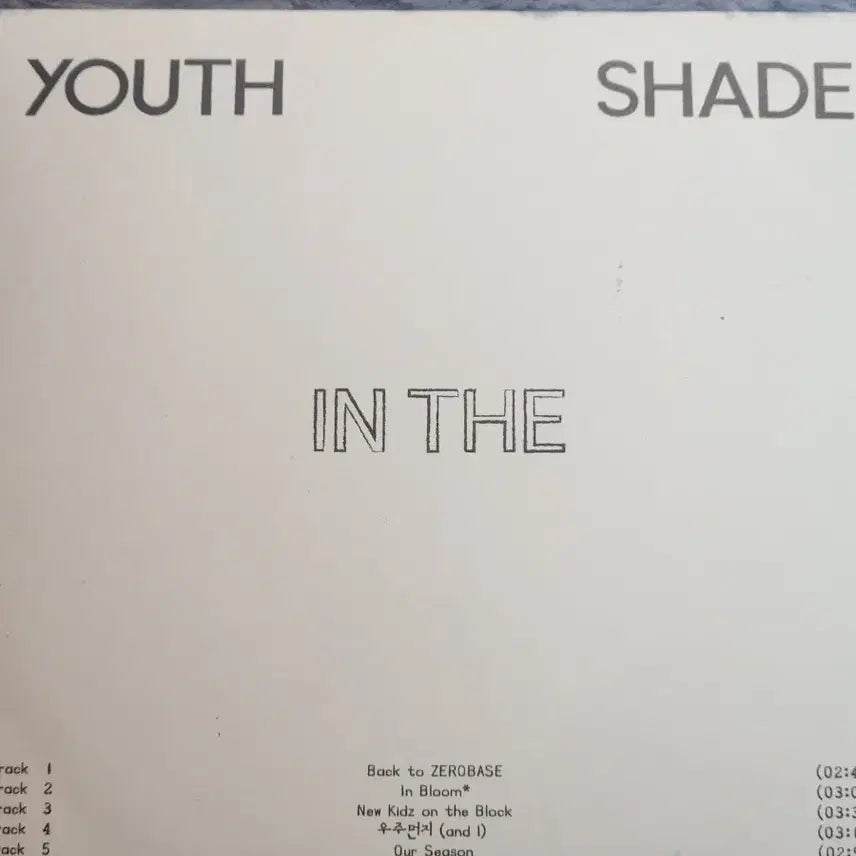 제배원 미니앨범(YOUTH IN THE SHADE)