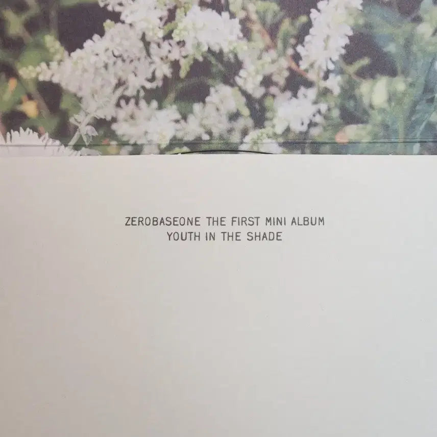 제배원 미니앨범(YOUTH IN THE SHADE)