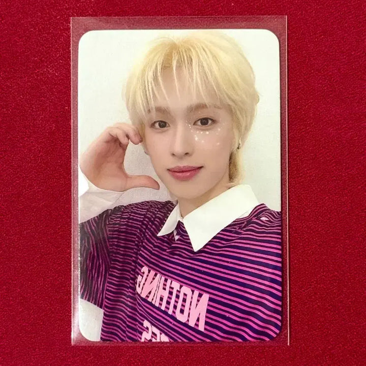 엑스디너리히어로즈 가온 포카