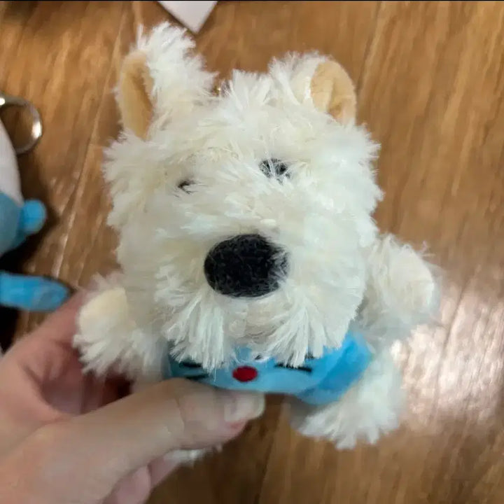 [BUNJANG] Keyring / 새상품) 키링