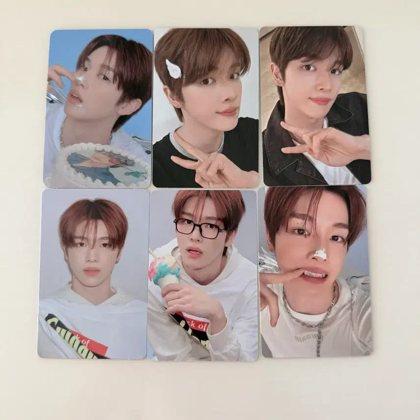 라이즈 시그 성찬 포카 일괄 양도 케타포 특전