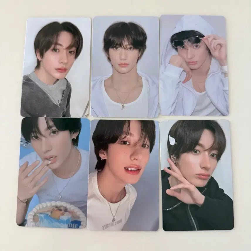 라이즈 시그 앤톤 포카 일괄 양도 케타포 특전