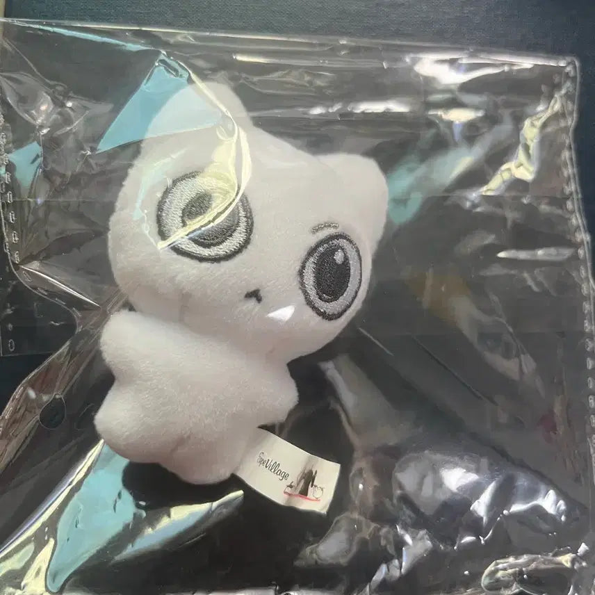 보이넥스트도어 보넥도 성호 인형 예삐냥 양도