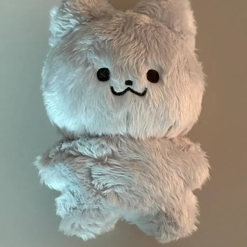 더보이즈 주연 인형 쥬냥이