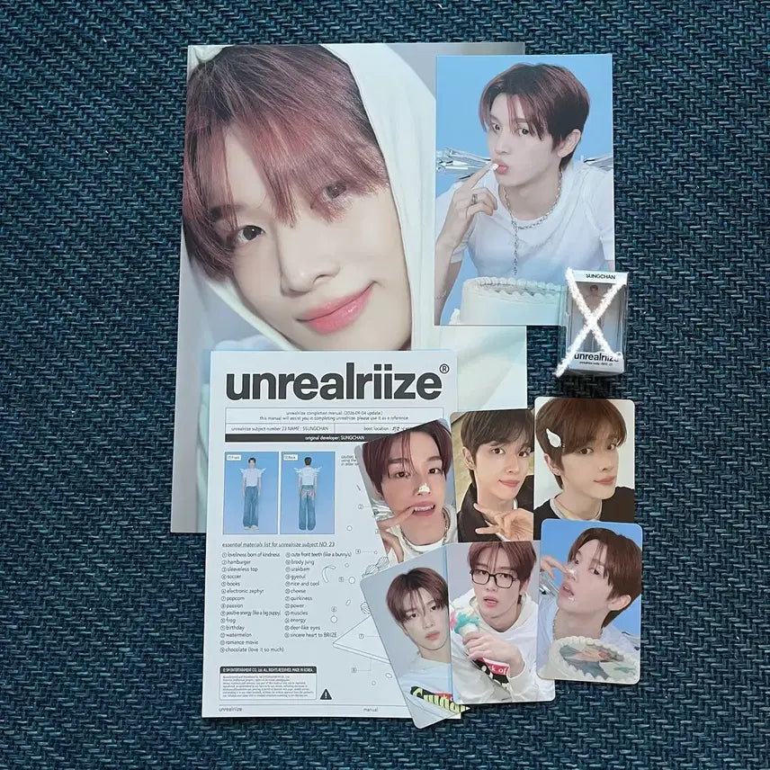 (성찬) 라이즈 2026 시그 분철