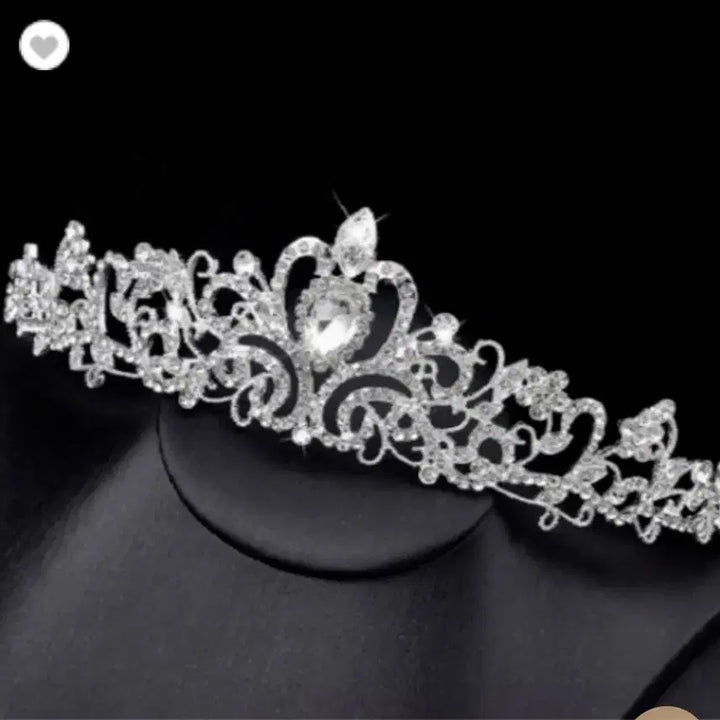 [BUNJANG] Disney Cinderella Dress Rental / 디즈니(보증금X남자가능)신데렐라 디즈니 드레스 졸업사진 졸사대여