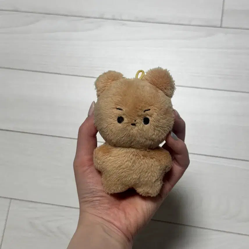 더보이즈 현재 인형 달곰이