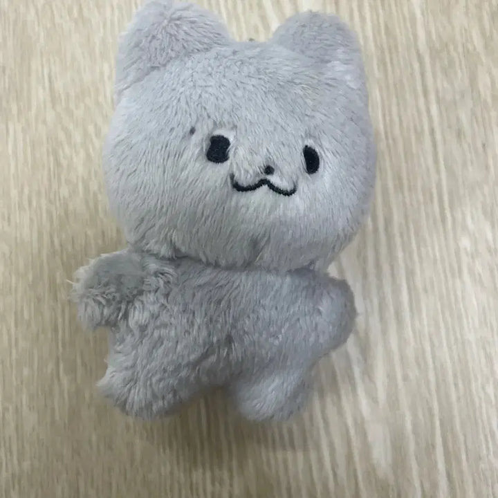 더보이즈 주연 인형 쥬냥이 주냥이