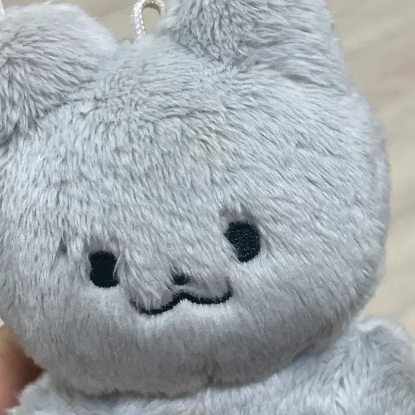 더보이즈 주연 인형 쥬냥이 주냥이