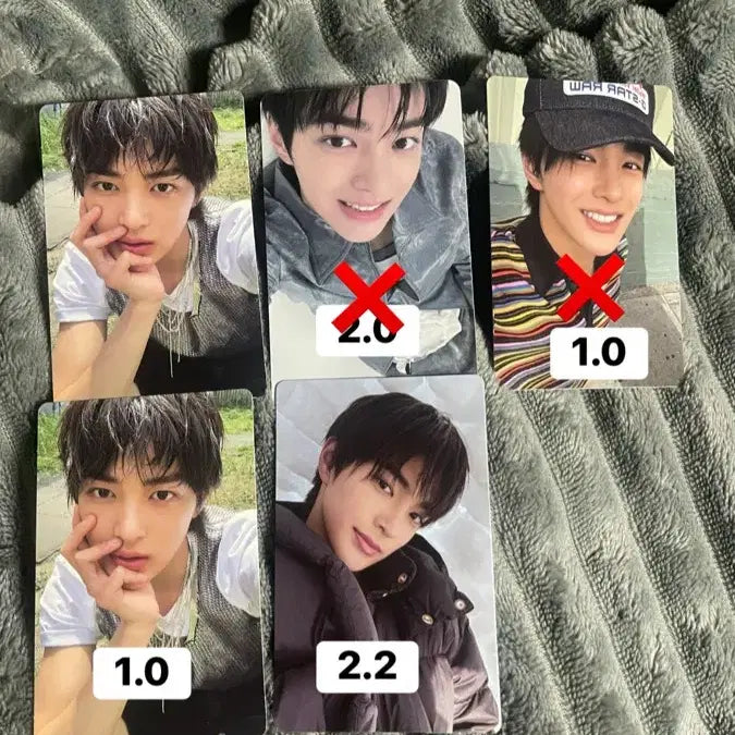 코르티스 건호포카 양도