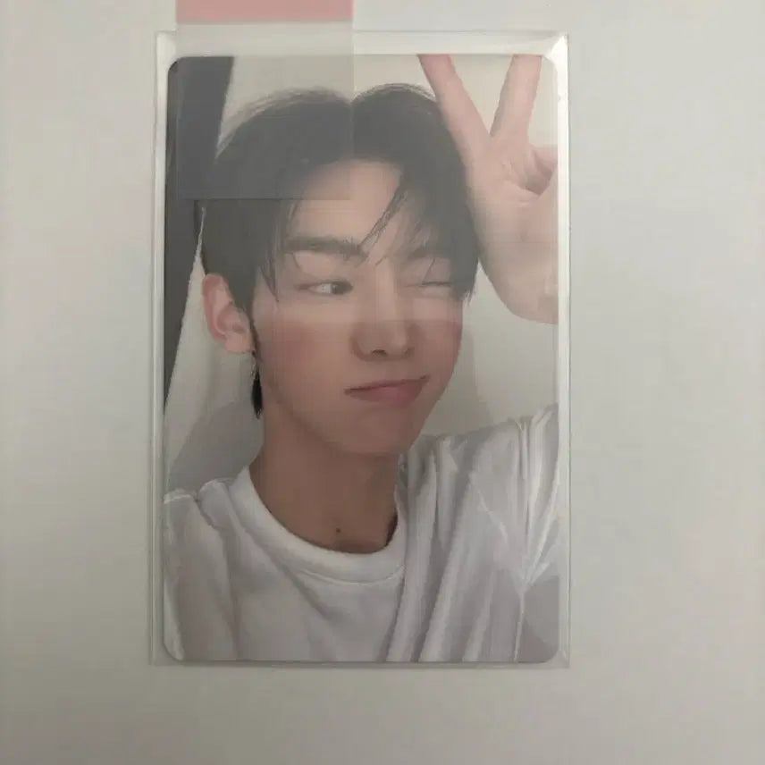 투어스 한진 썸머비트 나우버전 앨범 포카 양도 포토카드