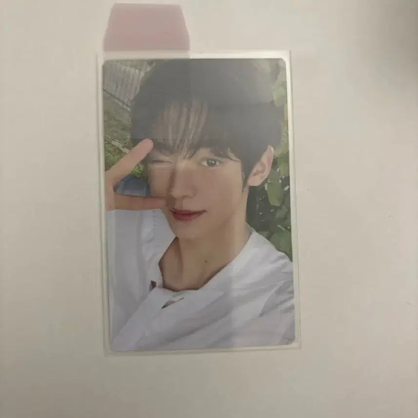 투어스 한진 하지메마시떼 앨범 포카 포토카드 양도