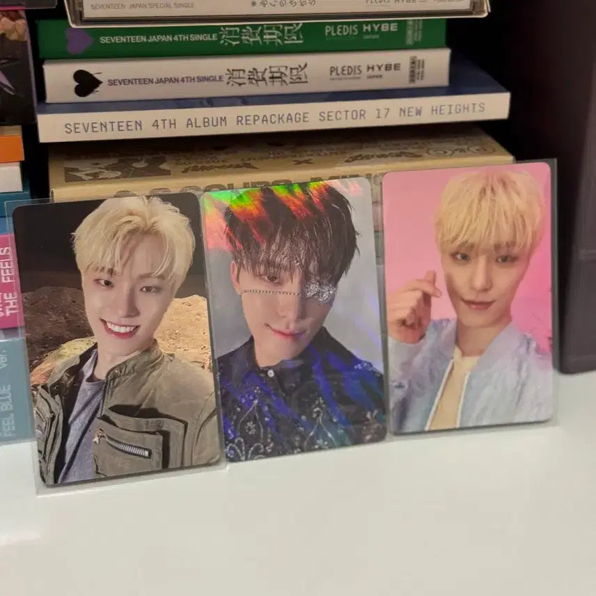 세븐틴 디노 일본앨범 초회한정반 포토카드 일괄판매