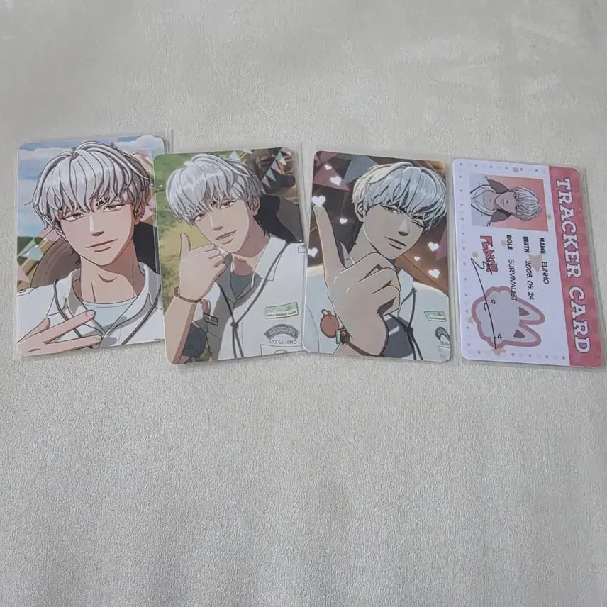 플레이브 시그 은호 포카