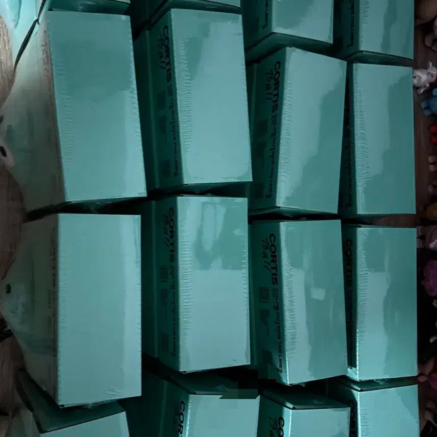 코르티스 볼 CORTIS Ball 키링 앨범