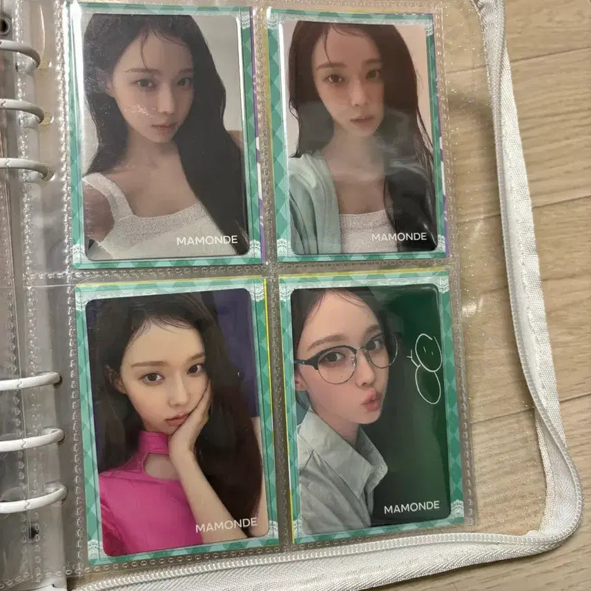 에스파 윈터포카 마몽드 일괄