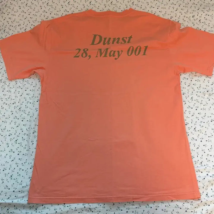 [BUNJANG] Dunst L T-shirt / 던스트 반팔티 L