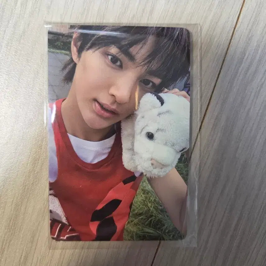 코르티스 CORTIS 건호 앨포