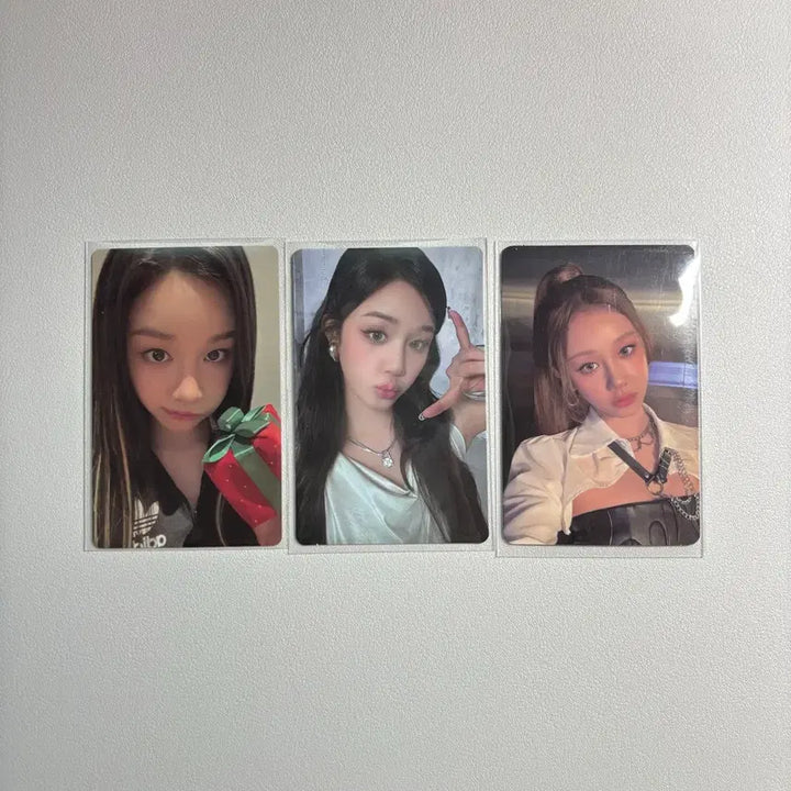 일괄가격)베이비몬스터 파리타 포카 일괄 처분 양도