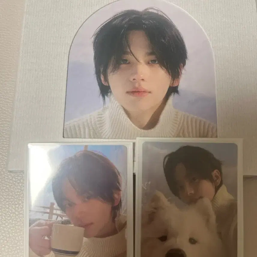 투어스 개봉앨범(포카포함)