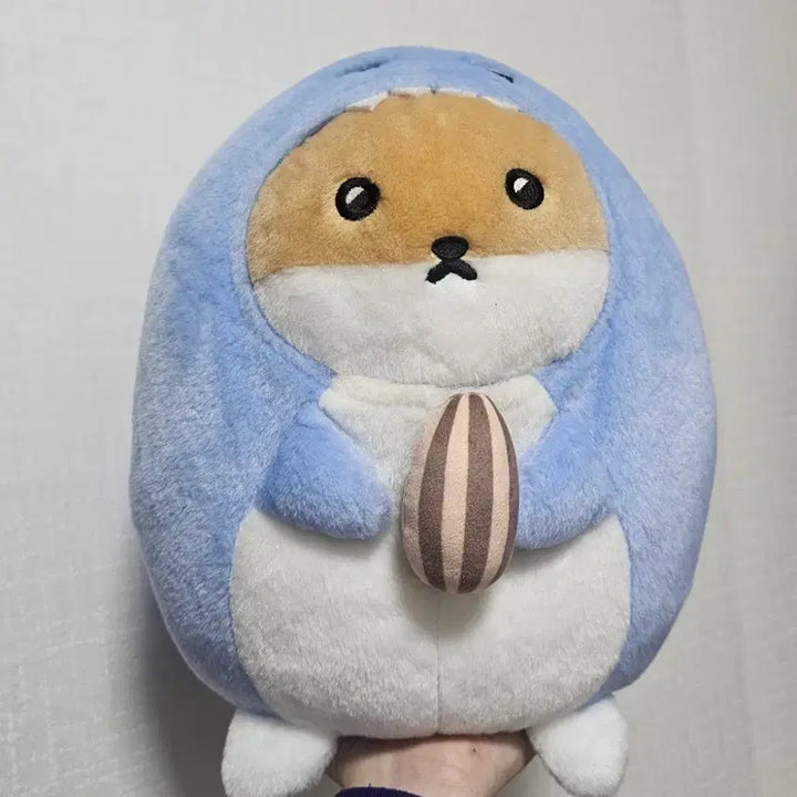 몬스타엑스 몬엑 기현 대왕 햄상슥이 햄슥이